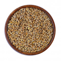 قمح كامل عضوي صما معيا قمح كامل عضوي صما معيا