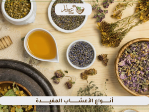 تعرف على أفضل أنواع الأعشاب المفيدة الطبية وغيرها