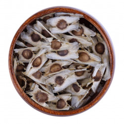 بذور المورينجا العضوية
