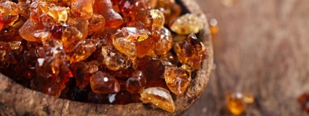 الدليل الكامل والشامل للصمغ العربي الدليل الكامل والشامل للصمغ العربي