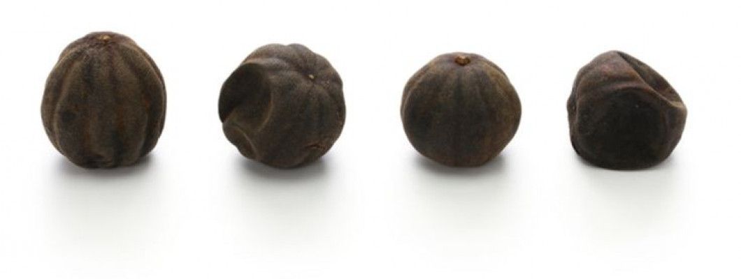 فوائد الليمون الأسود المطحون وأهم استخداماته فوائد الليمون الأسود المطحون وأهم استخداماته