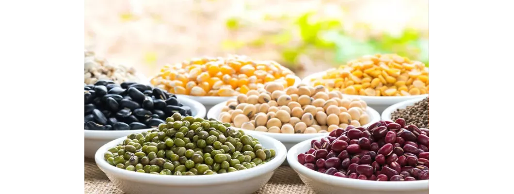 تعرف على انواع الفاصوليا: القيمة الغذائية و4 طرق للتحضير تعرف على انواع الفاصوليا: القيمة الغذائية و4 طرق للتحضير