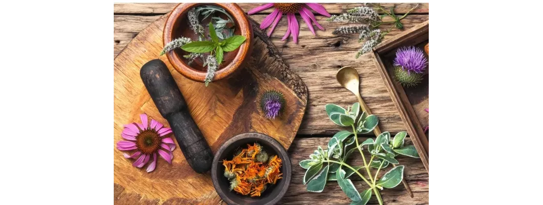 افضل 6 اعشاب للتوتر والقلق افضل 6 اعشاب للتوتر والقلق