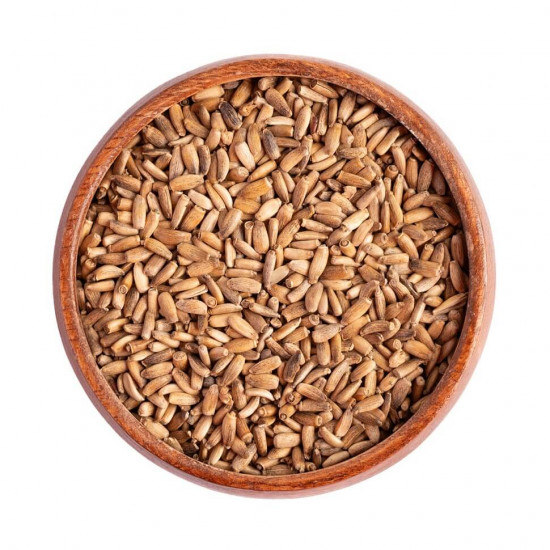 بذور شوك الجمل