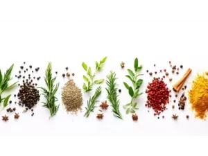 ما انواع الاعشاب وفوائدها للصحة العامة؟ ما انواع الاعشاب وفوائدها للصحة العامة؟