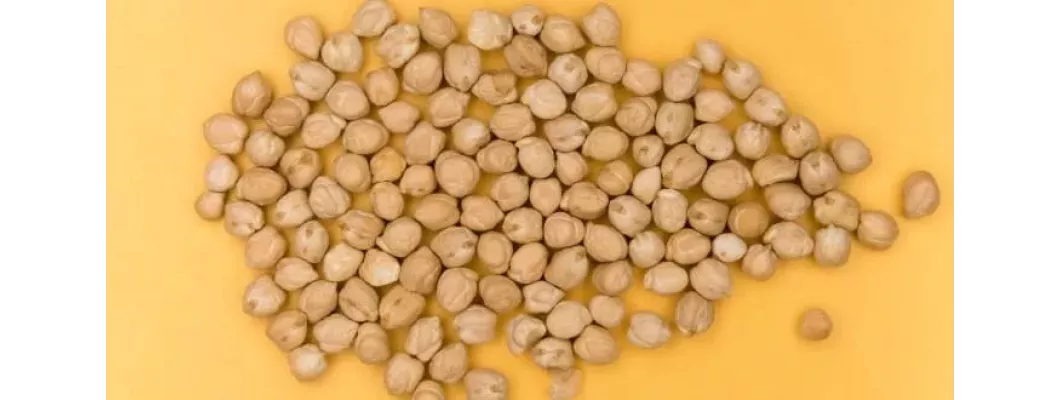 ما هي بذور الاكبي؟ اكتشف الكنوز الصحية في هذه البذور الأفريقية