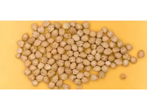 ما هي بذور الاكبي؟ اكتشف الكنوز الصحية في هذه البذور الأفريقية