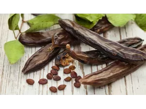 تعرف على دور الخوا جوا في تعزيز المناعة والوقاية من الأمراض