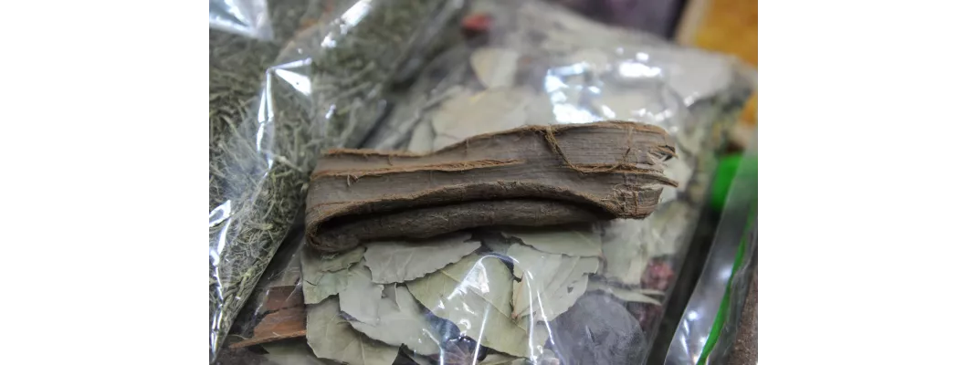 فوائد عشبة الديرم: دعم الطاقة والكبد وتاثيرها الهرموني 