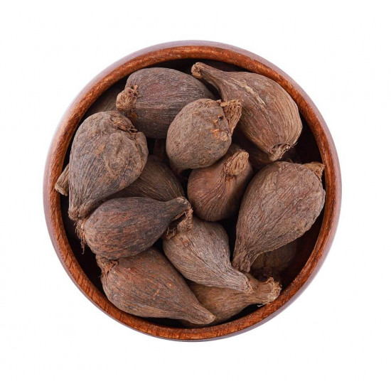 هيل حبشي هيل حبشي