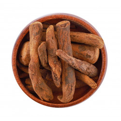 عشبة الراوند