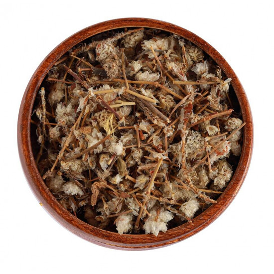 زهرة رجل الأسد (50 جرام)