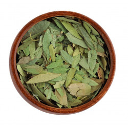 أوراق سنامكي أو عشرق