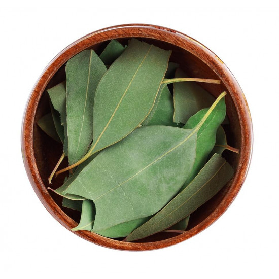 ورق الكينا أو الكافور العضوي (50جرام)