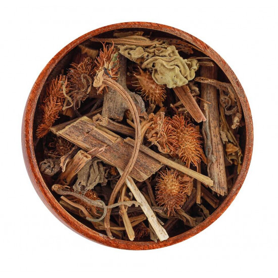 عشبة الارقطيون عشبة الارقطيون