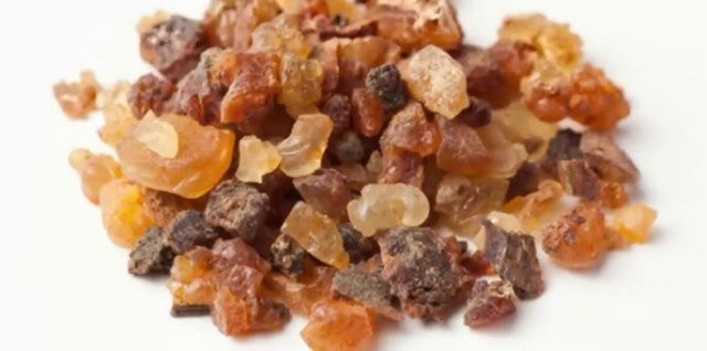 فوائد عشبة المقل للصحة العامة ودوره في الطب البديل فوائد عشبة المقل للصحة العامة ودوره في الطب البديل