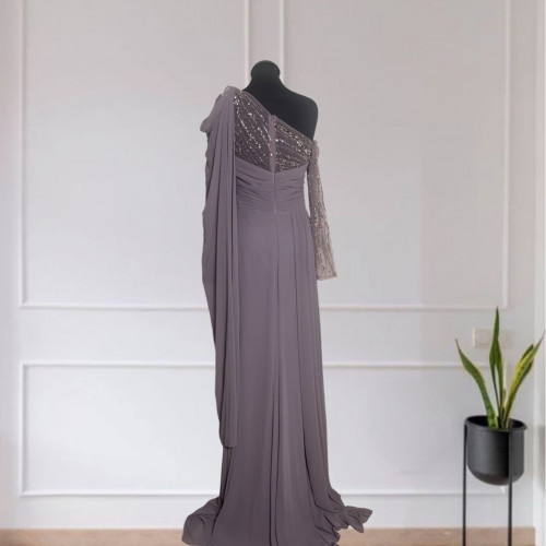 Shiffon Embellished Gown
