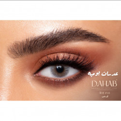 عدسات  يومية الذهب 