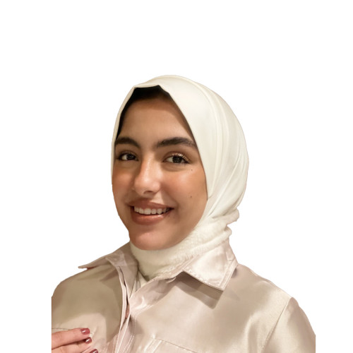 الحجاب الفرو