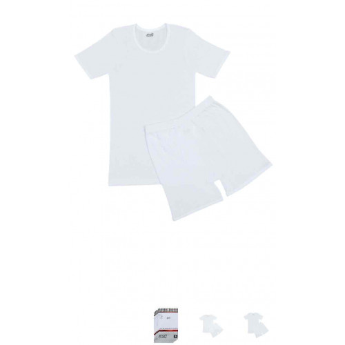 داخلي ولادي