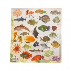 Educational Fish Stickers