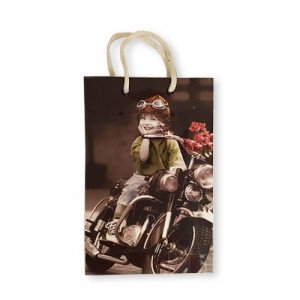 Children's Character Paper Gift Bag 26x16.5x6.5 cm