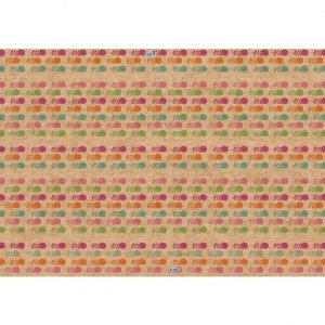 Kraft Gift Wrapping Paper 100 x 70 cm KESKIN Roses Imprinted