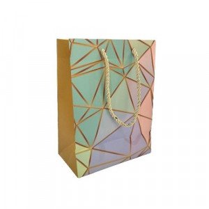 Paper Gift Bag 23x17.5x9.5 cm Colored Circles