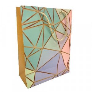 Paper Gift Bag 32x25x11 cm Geometric Lines