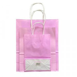 Pink Paper Gift Bag, Several Sizes