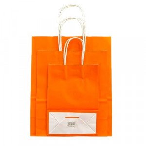 Orange Paper Gift Bag, Several Sizes