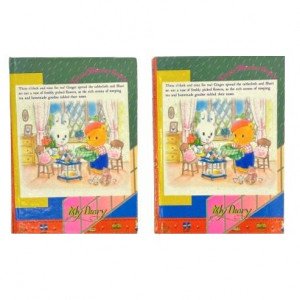 Nakheel City Lined Memo Notebook 2 Pieces
