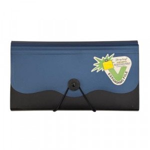 Document Folder With Elastic Closure, 12 Pockets