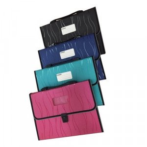 Documents Cover with Luck and Handel 12 Pockets Assorted Colors  