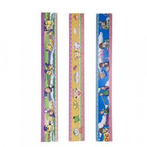 Ruler 30 cm Plastic With Photo