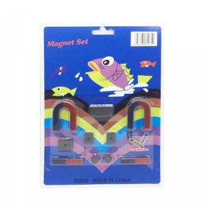 Magnet Set 11 Pieces Assorted Shape
