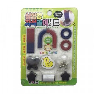 Magnet set 10 Pieces Assorted Shape