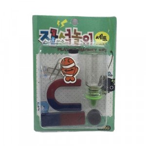 Magnet Set 6 Pieces Assorted Shape
