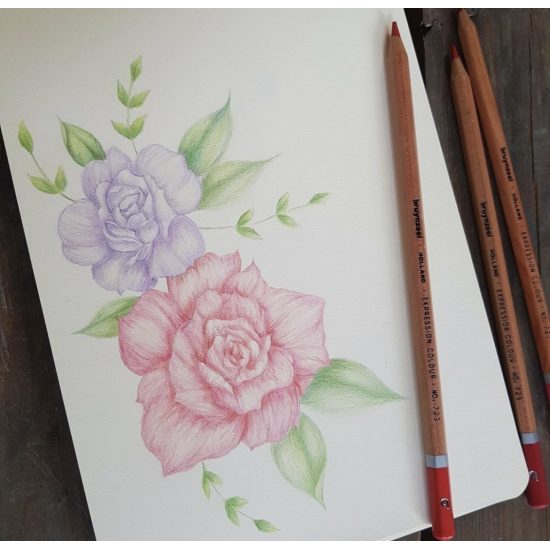 Wood Color Pencil BRUYNZEEL 72 Color