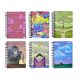 Spiral Notebook Einglish A5 200 Sheets Assorted Designs