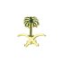 بروش اليوم الوطني سيفين ونخلة