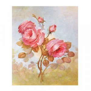 Easy Transfer 24×18 cm RICH 5056