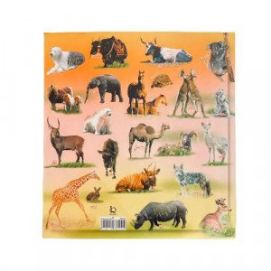 Educational Animal Stickers