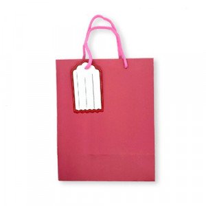 Gift Bag Paper With Ticket 23x18x10 cm Pink