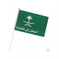 علم الوطن في قلوبنا مسكة يد بلاستيك 30x20 سم