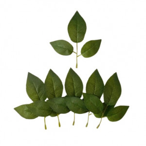 Triple Leaves 6 Pieces