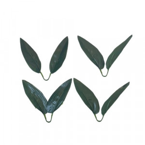 Long Bipartite Leaves 4 Pieces