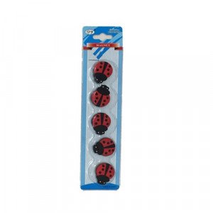 Magnet Set 5 Pieces Beetle Shape