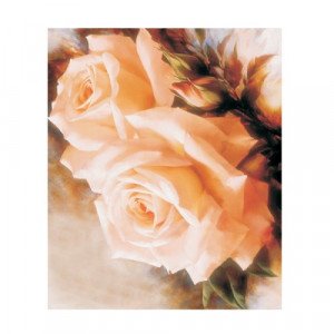 Easy Transfer 24×18 cm RICH 5050