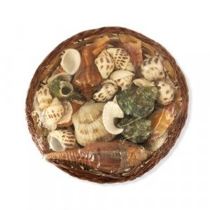 A Basket Of Assorted Sea Shells And Snails